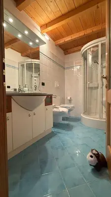 a bathroom with a dog laying on the floor at Appartamento Villa Nicole in Transacqua