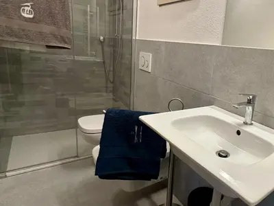 a bathroom with a sink and a shower and a toilet at La Busa dai Zervi in Daiano