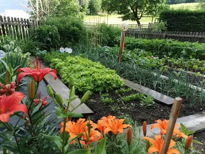 a garden with orange flowers and other plants at Apartment Schmetterling in Collalbo