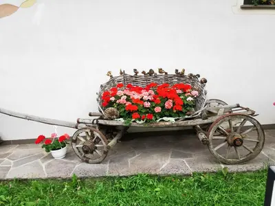 a wicker cart filled with red and white flowers at Apartment Schmetterling in Collalbo