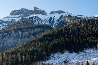 a mountain with trees and snow on it at Cesa Malvi in Canazei