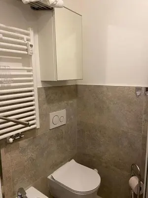 a bathroom with a white toilet and a cabinet at Appartamento ai piedi delle Dolomiti in Selva di Val Gardena