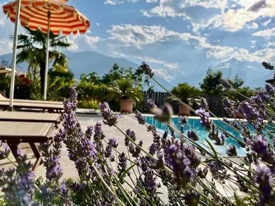 a table and an umbrella next to a swimming pool at Ferienwohnung in Schenna mit Bergblick und Pool - Unterpenatz in Schenna