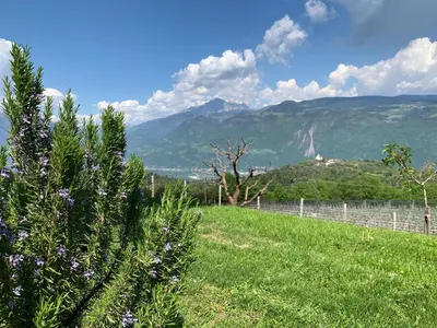 a ping pong table in a field with mountains in the background at Villa Waldrand with Merano view in Lana