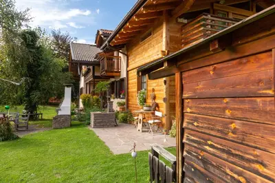 a backyard with a wooden building and a patio at B&B Profumi nel bosco in Carano