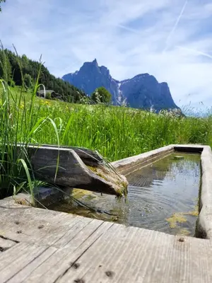 Gallery image of Unterstandroahof in Kastelruth