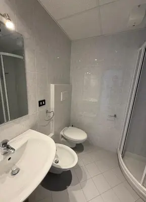 a bathroom with a sink and a toilet and a shower at AlpinVista- Le Maddalene in Cavareno