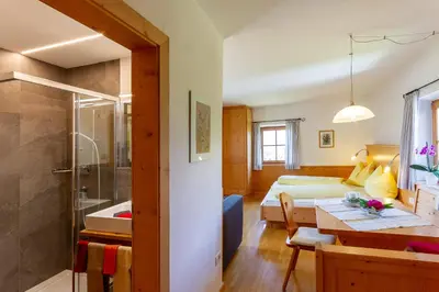 a room with a bed and a shower and a bathroom at Appartments Moarhof in Vols am Schlern