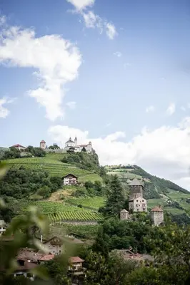 a village on top of a green hill with houses at Apartment Chiusa in Chiusa