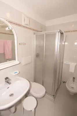 a bathroom with a shower and a sink and a toilet at Hotel Villa Mozart in Pozza di Fassa
