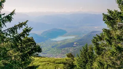 a view from the top of a mountain with trees at La Mendola Alm-Chalet in Mendola