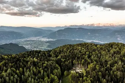 an aerial view of a forest of trees and mountains at La Mendola Alm-Chalet in Mendola