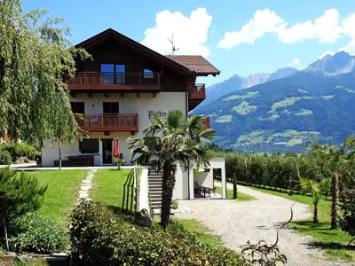 a house in the mountains with a palm tree in front at Platterhof in Tirolo