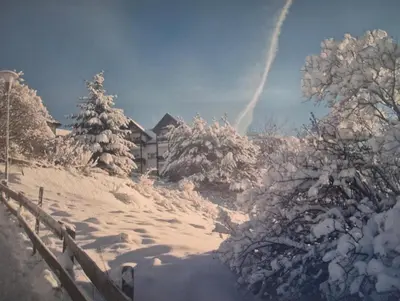 a house on a snowy hill with trees and a fence at Santa Cristina SudTirol SassLong Flat in Santa Cristina in Val Gardena