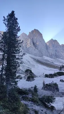 a pine tree in a snowy field with mountains at Dolomiten Home in Villnoss