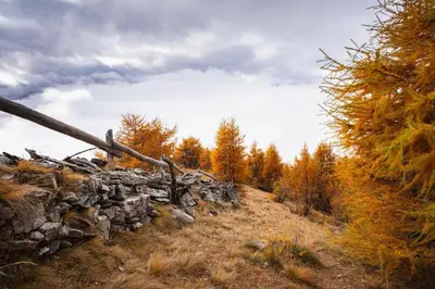 a pile of rubble on a hill with trees at Dolomiten Home in Villnoss