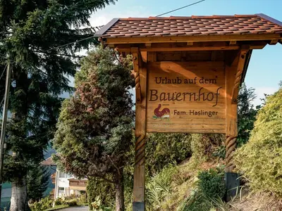 a wooden sign for a barrientos sign on a street at Haslingerhof - Ferienwohnung Hirzer in Saltusio