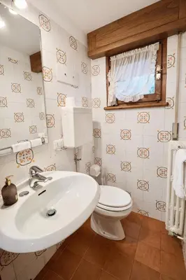 a bathroom with a white sink and a toilet at Cà Masariè Alverà in Cortina dʼAmpezzo