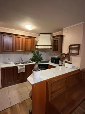 a kitchen with a potted plant sitting on a counter at SASS MAOR 2 bedrooms apartment 80 sm Fiera di Primiero TN in Fiera di Primiero