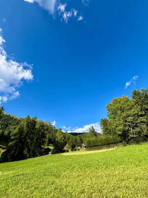 a green field with trees and a blue sky at Pragma Apartments - Fiore delle Alpi in Bellamonte