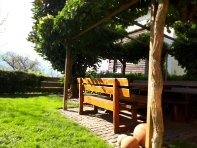 a wooden bench sitting under a tree in a park at Ferienwohnungen Hofanger in Lagundo