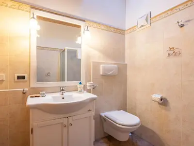 a shower in a bathroom with a toilet and a sink at Apartment Cesa degli Abeti by Interhome in Campitello di Fassa