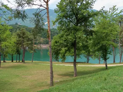 a group of trees in a field next to a lake at Apartment Vento Alpino-3 by Interhome in Predaia