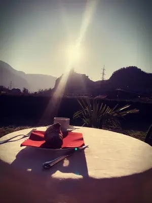 a table with a napkin and a pen and a cup at Gardenhotel Premstaller in Bolzano