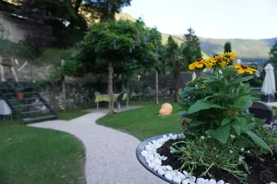 a garden with a flower pot with yellow flowers at Guesthouse Dolomiten in Egna