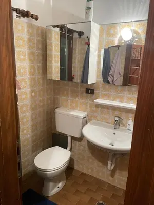 a bathroom with a toilet and a sink at CIASA LAURINA - Apartment near the slopes with Dolomite views in Carezza al Lago