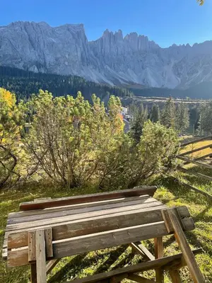 a wooden bench sitting on top of a hill at CIASA LAURINA - Apartment near the slopes with Dolomite views in Carezza al Lago