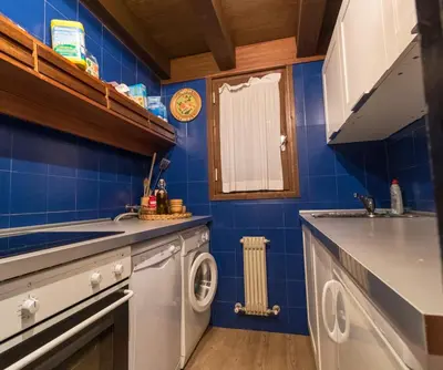 a blue kitchen with a washing machine and a sink at Residence SOLARIA in Campestrin