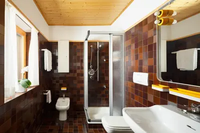 a bathroom with a shower and a toilet and a sink at VILLA MARGHERITA - 5 minutes from Dolomiti Super Ski in Ziano di Fiemme