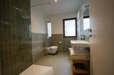 a bathroom with a shower and a sink and a toilet at Alpen Suite Apartment in San Vigilio Di Marebbe