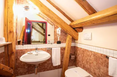 a bathroom with a sink and a toilet and a mirror at G. Hotel Des Alpes (Classic since 1912) in San Martino di Castrozza