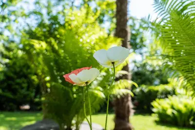 two flowers in a vase in a garden at Flow Apartments WINKEL STUDIO in Merano