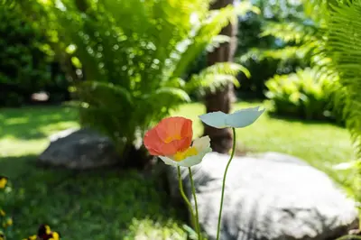 two flowers in the grass in a yard at Flow Apartments WINKEL STUDIO in Merano