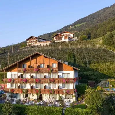 Panorama Hotel St Georgen