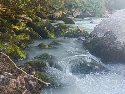 a stream of water with rocks in a river at Plose Appartements in Bressanone