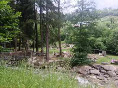 a zoo with a park with trees and rocks at Plose Appartements in Bressanone