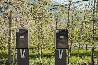 two parking meters in front of a fence with trees at Apart Suites Gravbach in Lagundo