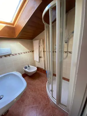 a bathroom with a shower and a sink at Appartamento Franca in Pera