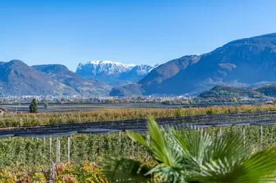 a view of mountains and a city with a train at Quellenhof in Appiano sulla Strada del Vino