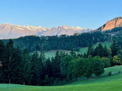 a green field with trees and mountains in the background at Apartment in South Tyrol with a beautiful panoramic view in Verano