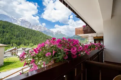 a balcony with pink flowers and a view of mountains at Residence Panorama in Val di Zoldo