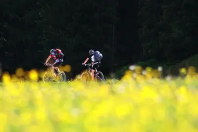 two people riding bikes in a field of flowers at Chalet Stefan - Apartments in La Villa