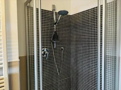 a shower in a bathroom with black tile at Bergchalet Platzl in Verano