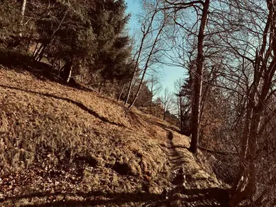 a dirt hill with trees on the side of it at Bergchalet Platzl in Verano