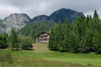 a house in the middle of a field with trees at Rifugio Caltena in Fiera di Primiero