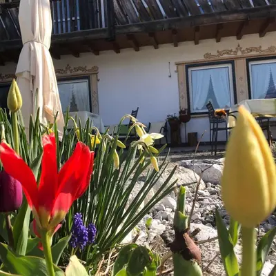 a group of flowers in front of a house at Rifugio Caltena in Fiera di Primiero
